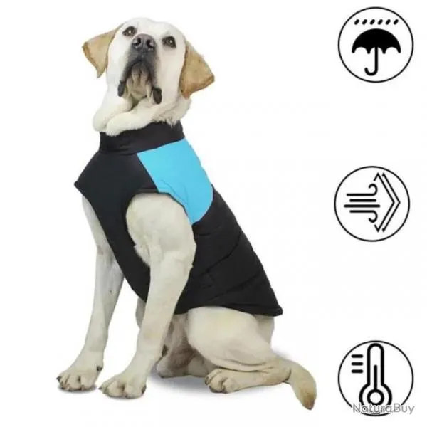 Chien Manteau Coupe Vent Imperméable Manteau Chaud Hiver Bleu Noir Taille M